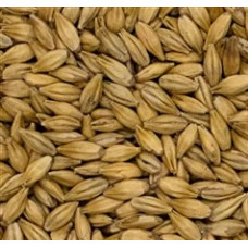 Malte Pilsen Agrária - 1kg