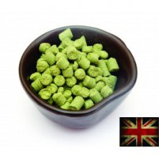 Lúpulo Fuggle em Pellet T90 2023 - 50g