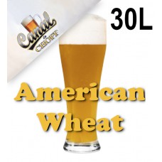 Kit Para Produzir 30 Litros de American Wheat do CANAL DO CHOPP - 1D BJCP