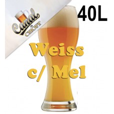 Kit Para Produzir 40 Litros de Cerveja de Trigo com Mel do CANAL DO CHOPP